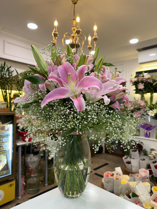 Lily Light